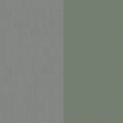 Duck Grey Front with Reed Green Base