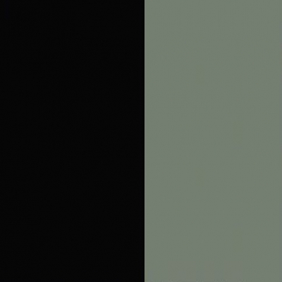 Deep Black Front with Reed Green Base