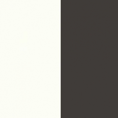 Matt White Front with Graphite Base