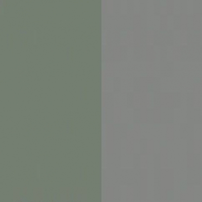 Reed Green Front with Dusk Grey Base