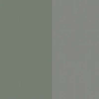 Reed Green Front with Matt Grey Base