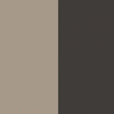 Mushroom Front with Graphite Base