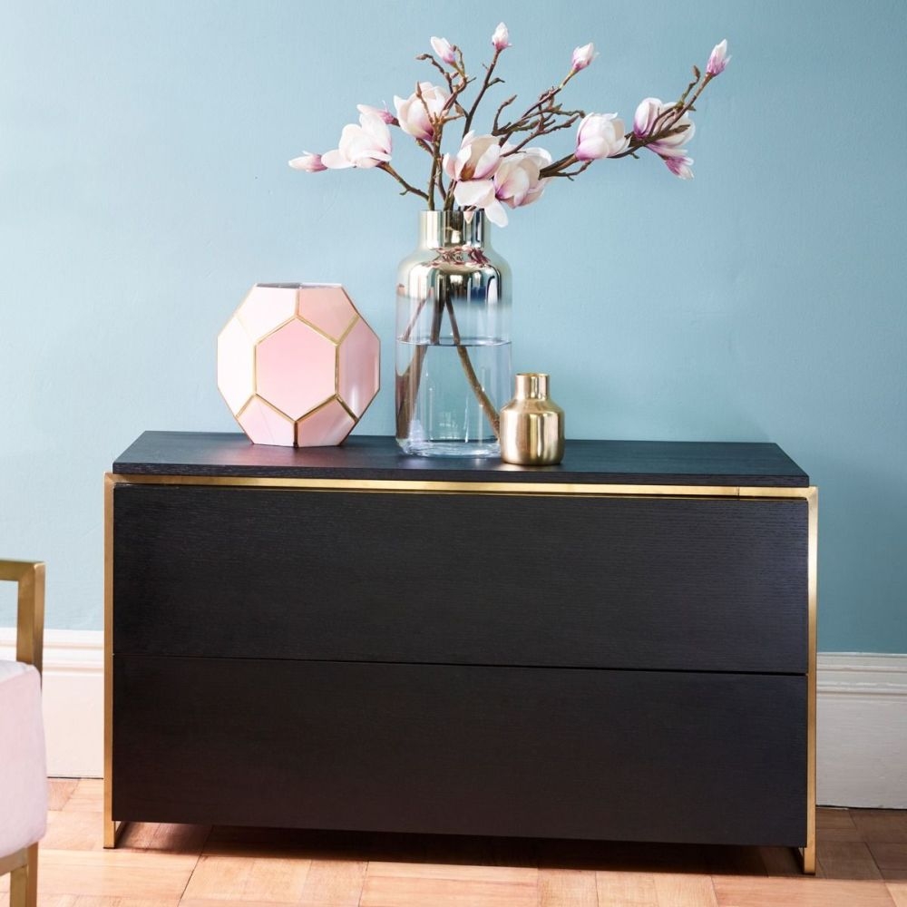 Product photograph of Federico Wenge 2 Drawer Chest With Brass Frame from Choice Furniture Superstore.