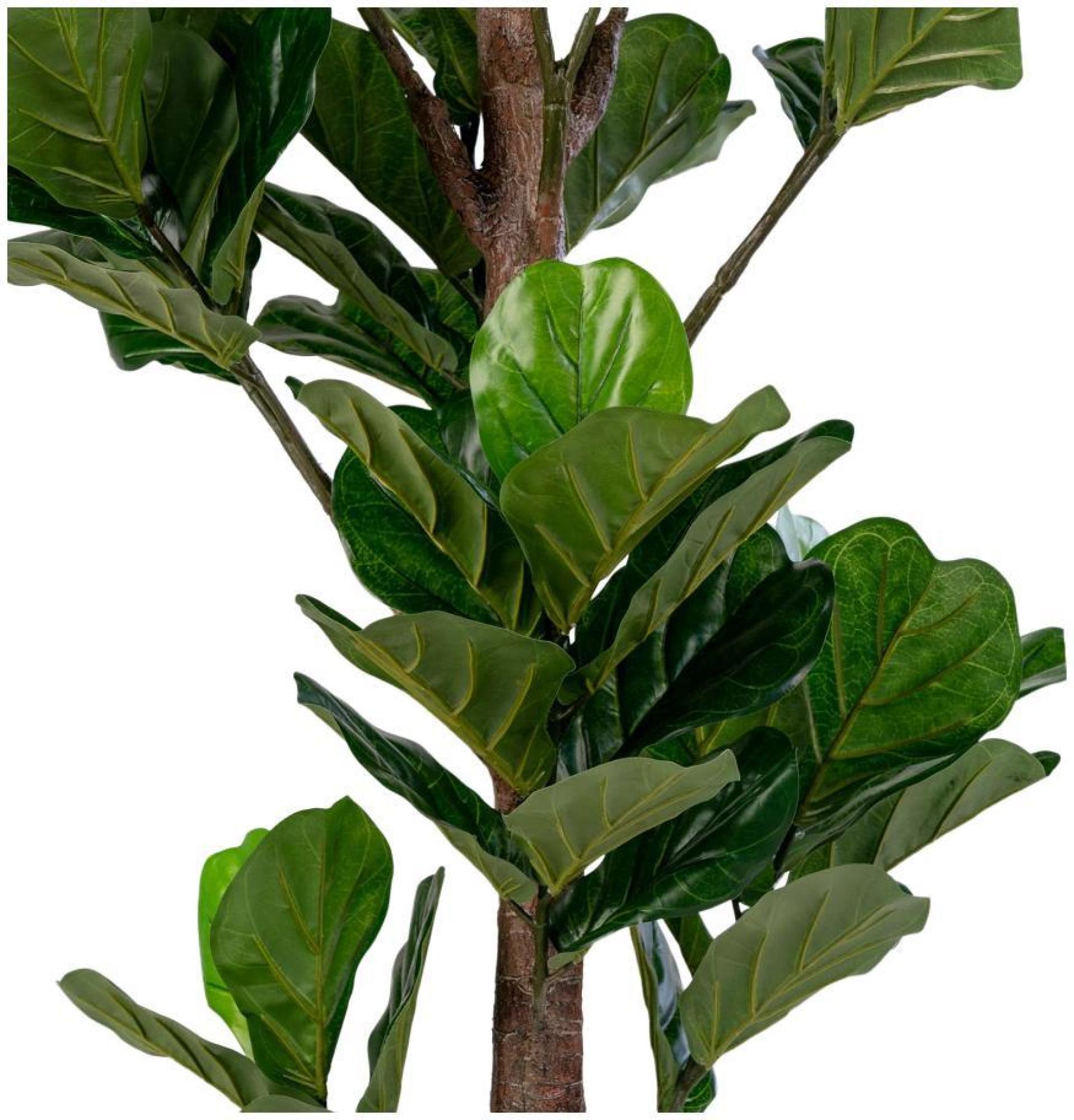 Product photograph of Montesano Green Fiddle Leaf Tree - 93cm X 190cm from Choice Furniture Superstore.