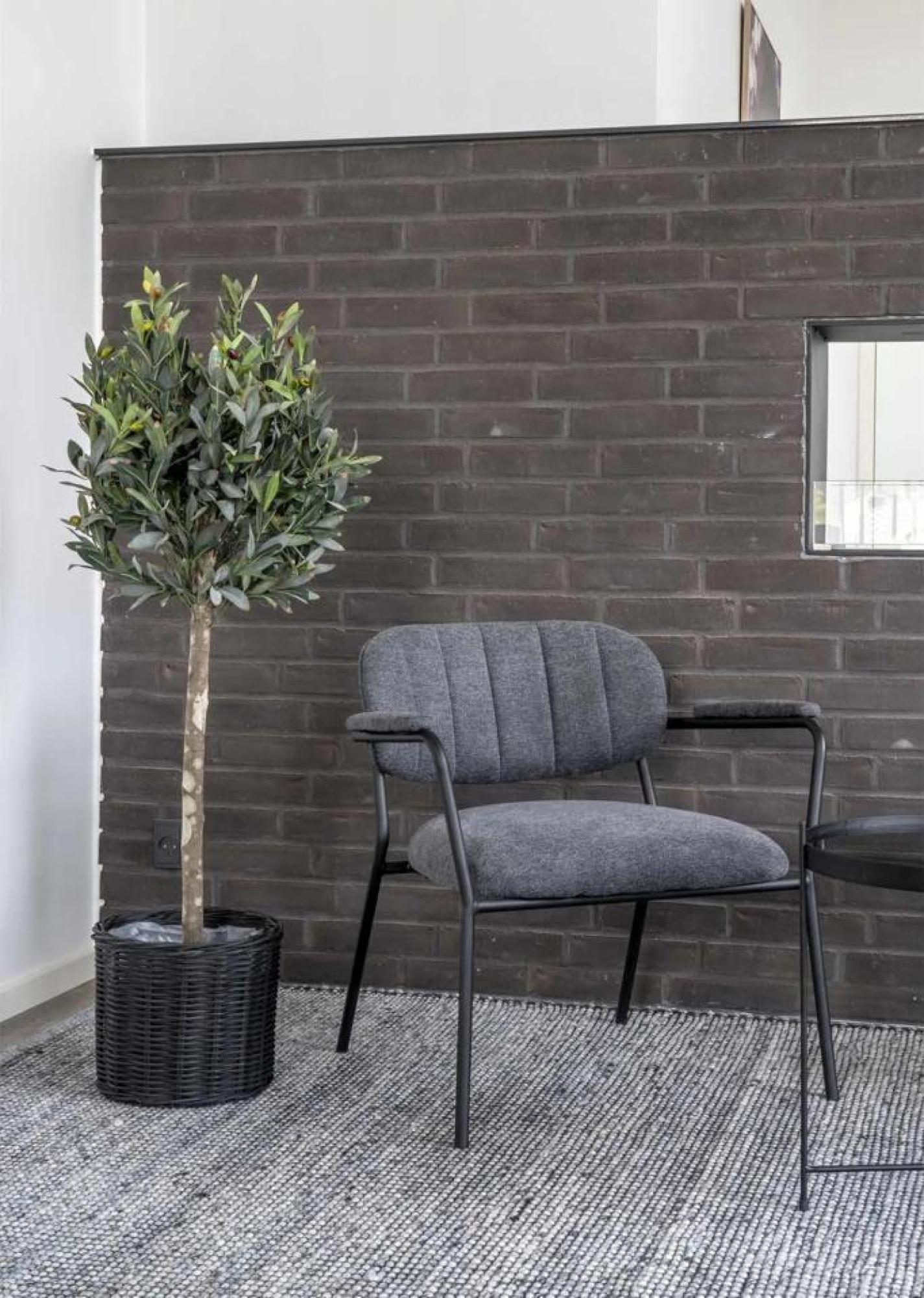 Product photograph of Green Olive Tree from Choice Furniture Superstore.