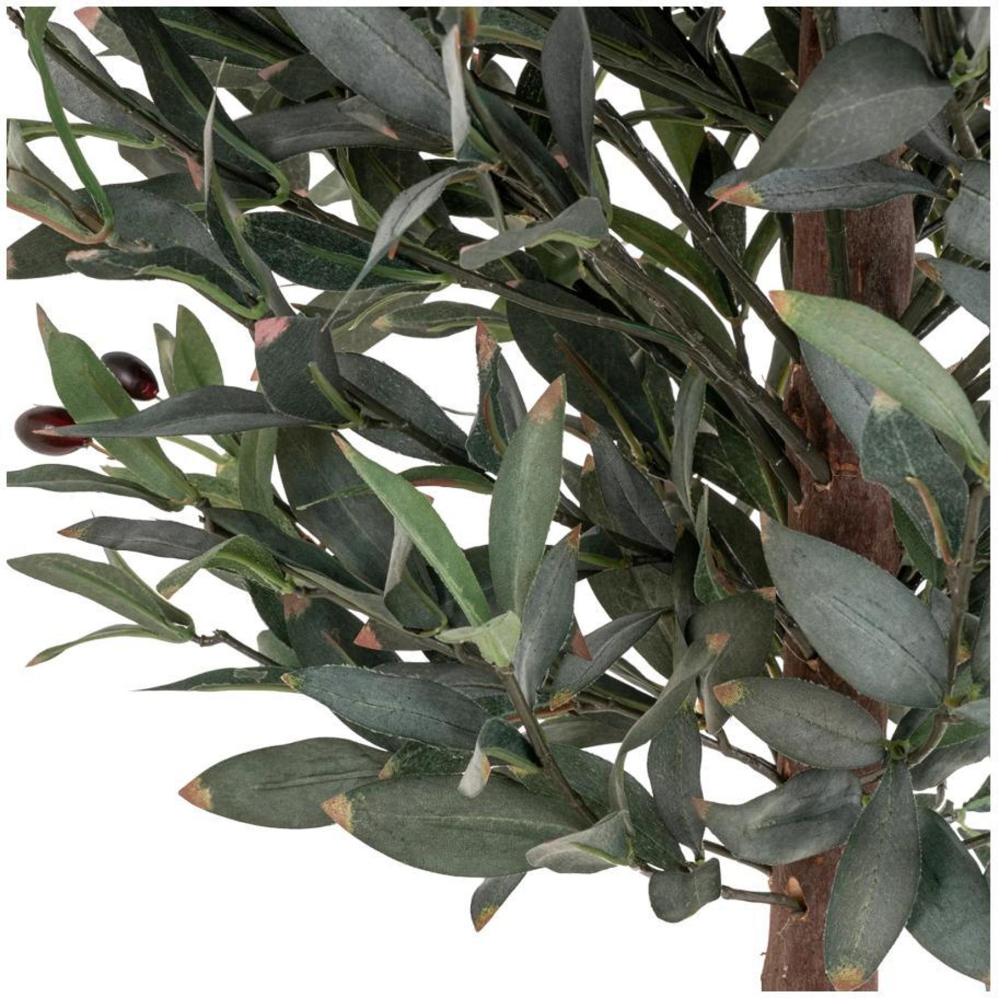 Product photograph of Green Olive Tree - 58cm X 110cm from Choice Furniture Superstore.