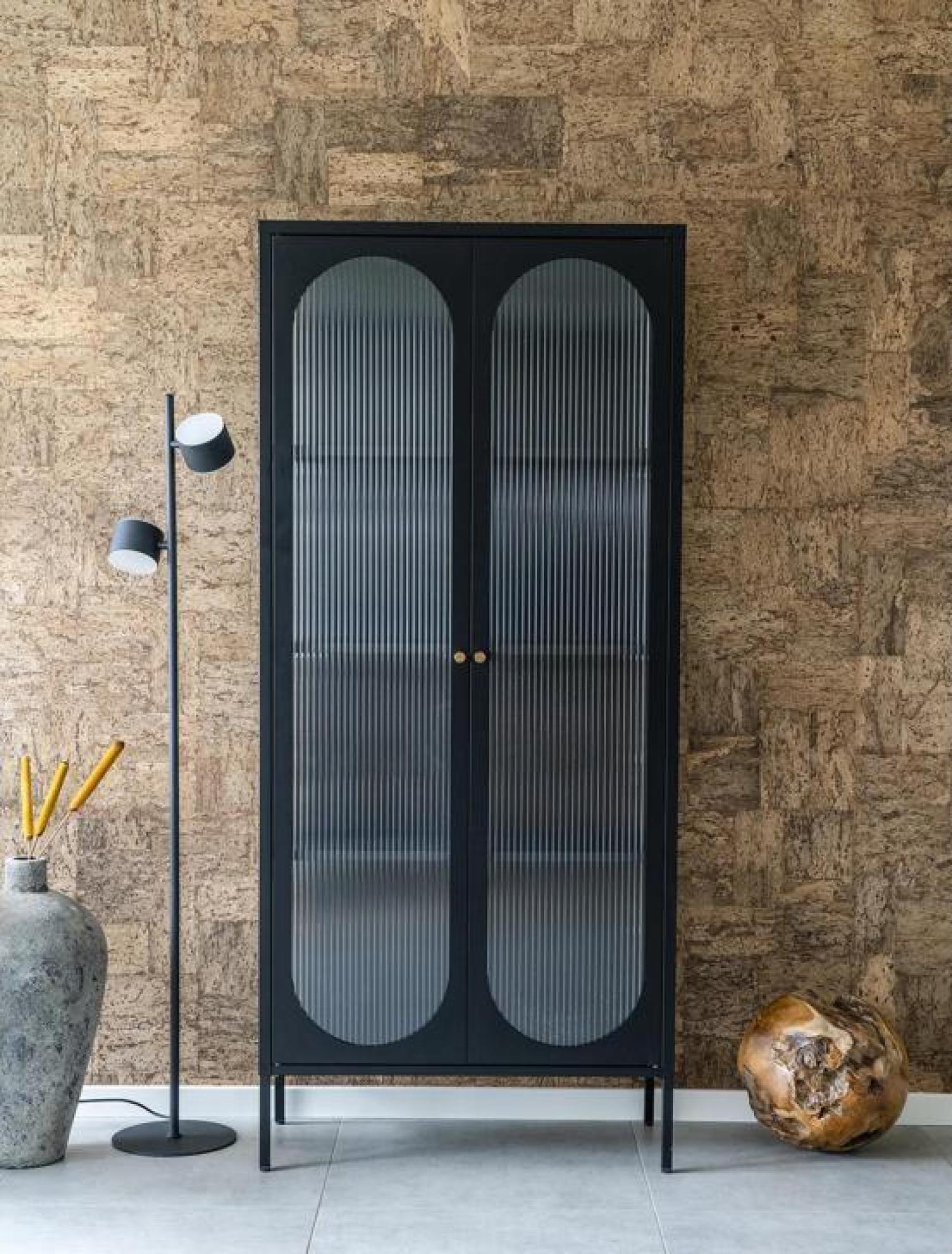 Product photograph of Adelaide Black Metal 2 Door Display Cabinet from Choice Furniture Superstore.