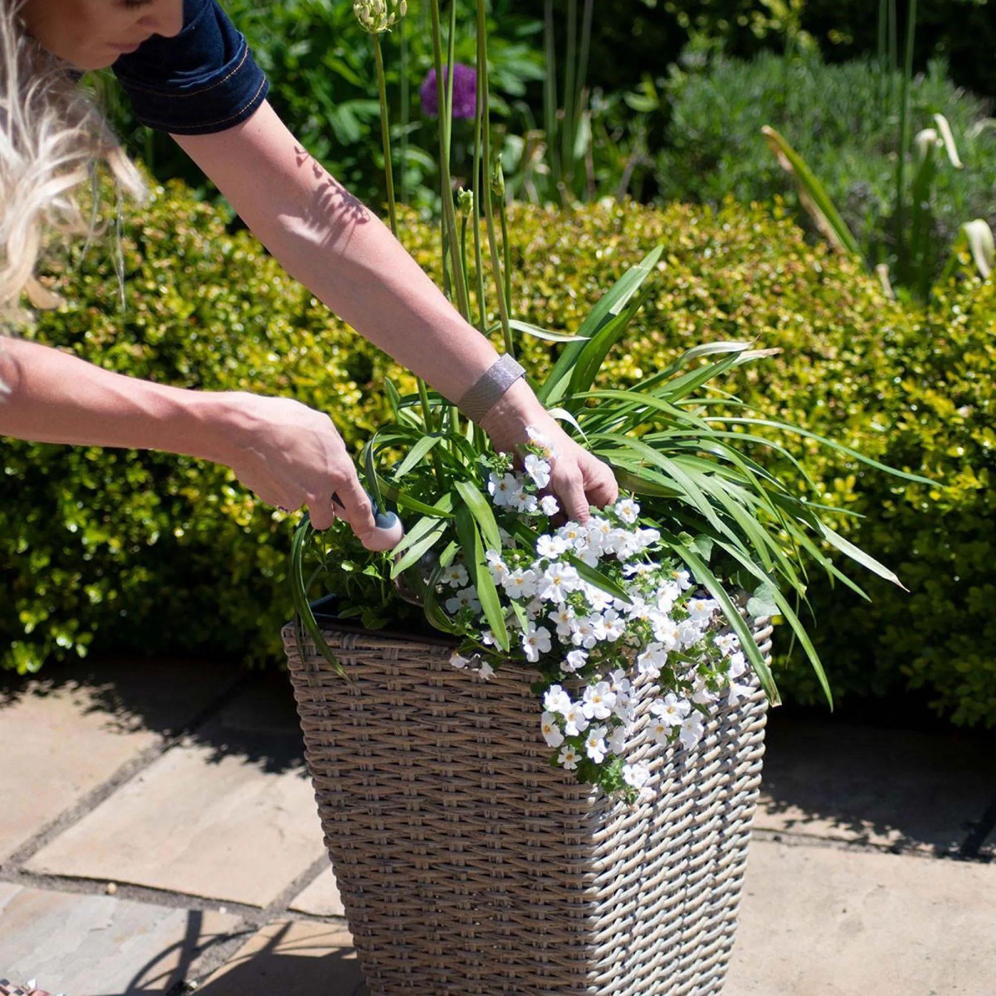 Product photograph of Maze Cotswold Natural Rattan Triple Planter Set from Choice Furniture Superstore.