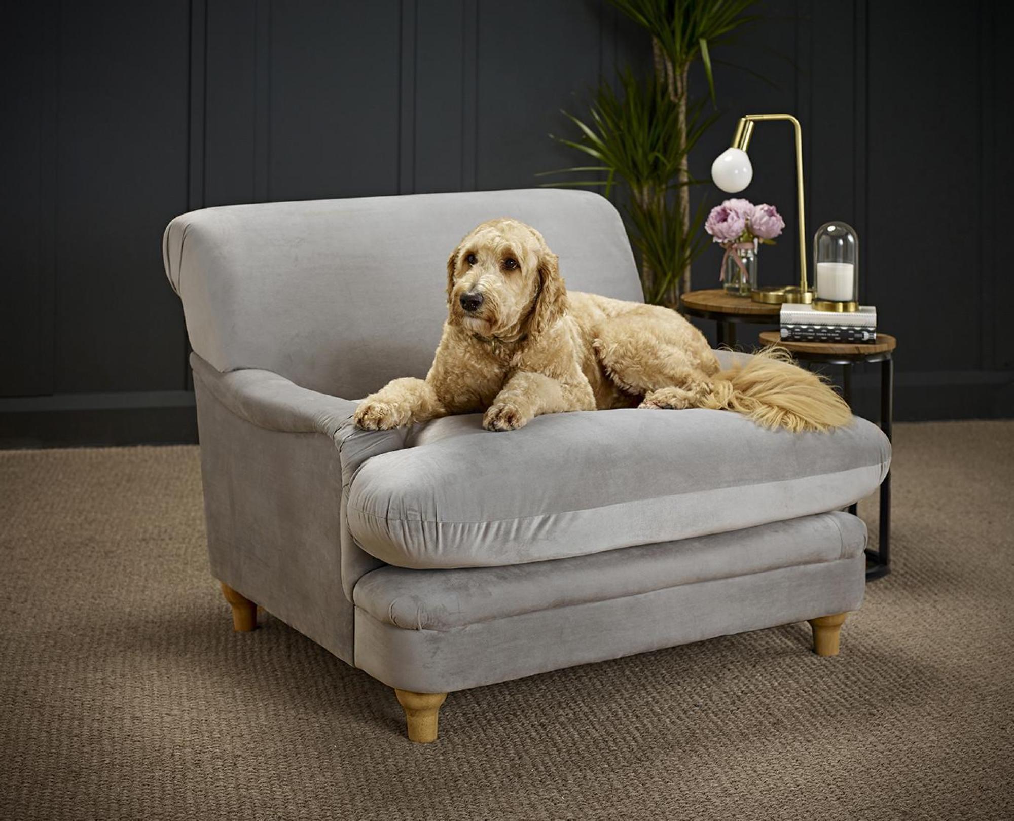 Product photograph of Plumpton Grey Velvet Fabric Chair from Choice Furniture Superstore.