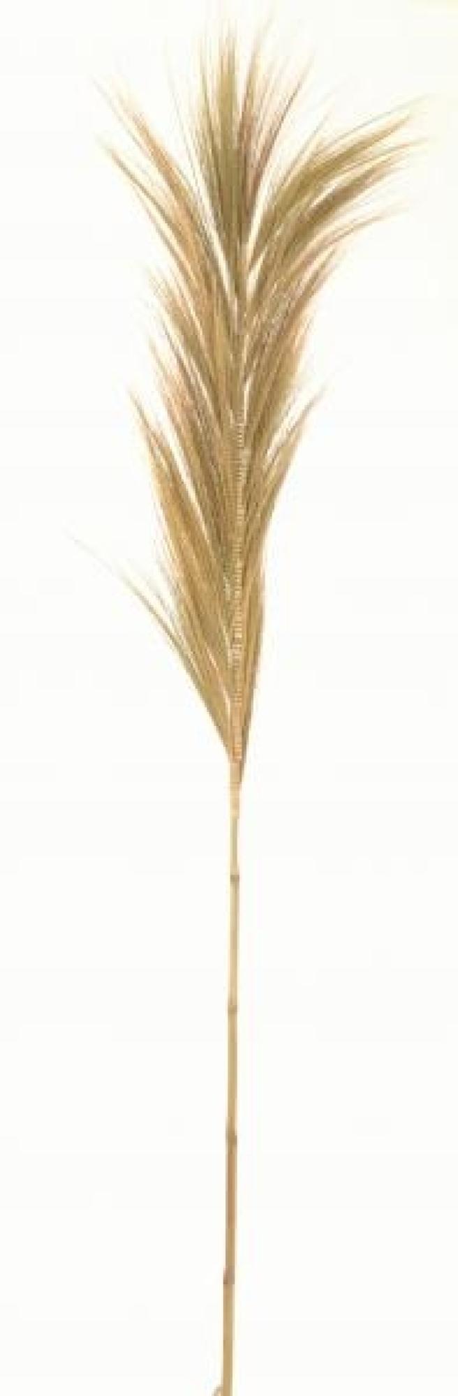 Product photograph of Feathered Decorative Grass from Choice Furniture Superstore.