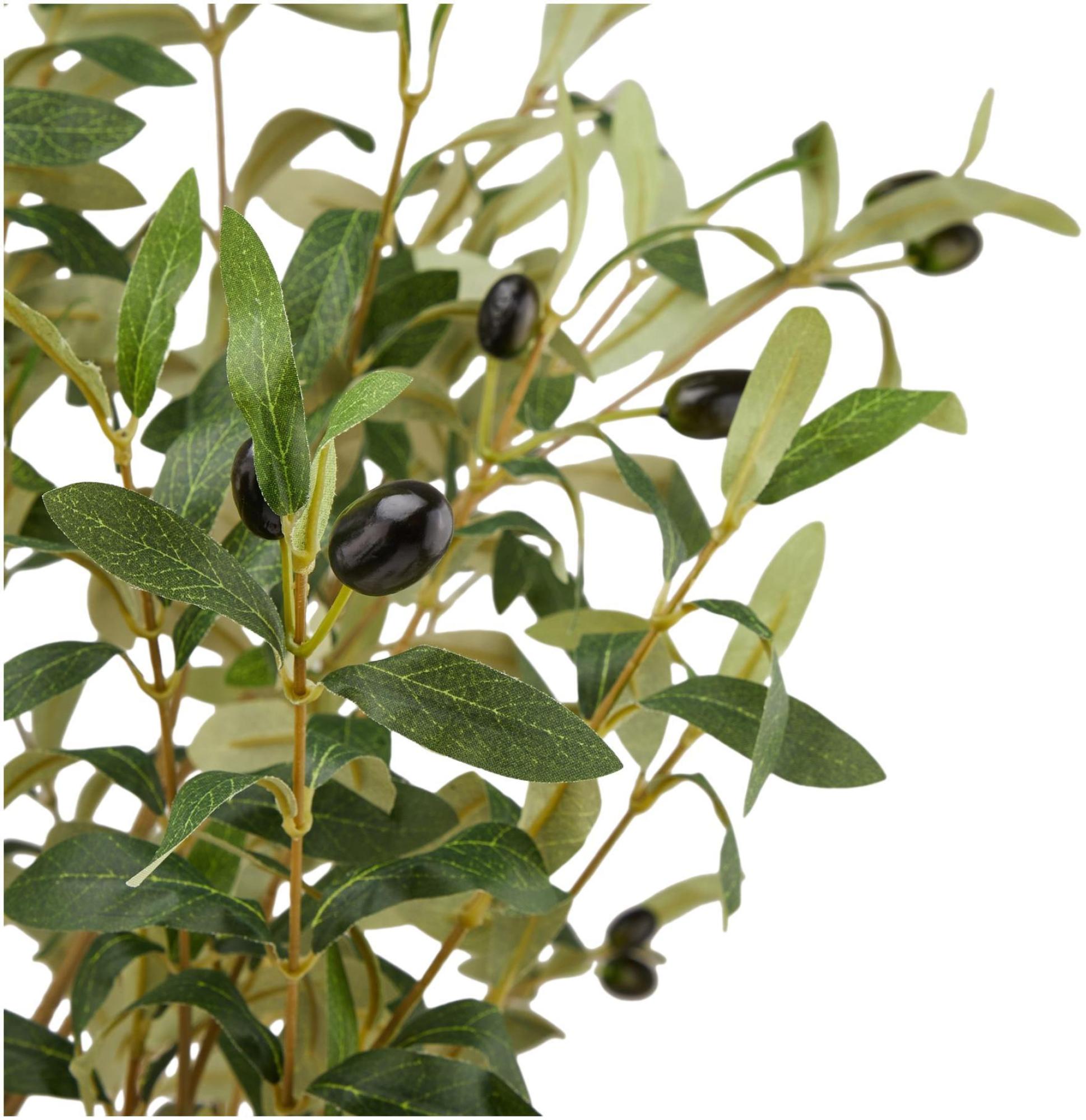 Product photograph of Calabria Olive Large Tree from Choice Furniture Superstore.