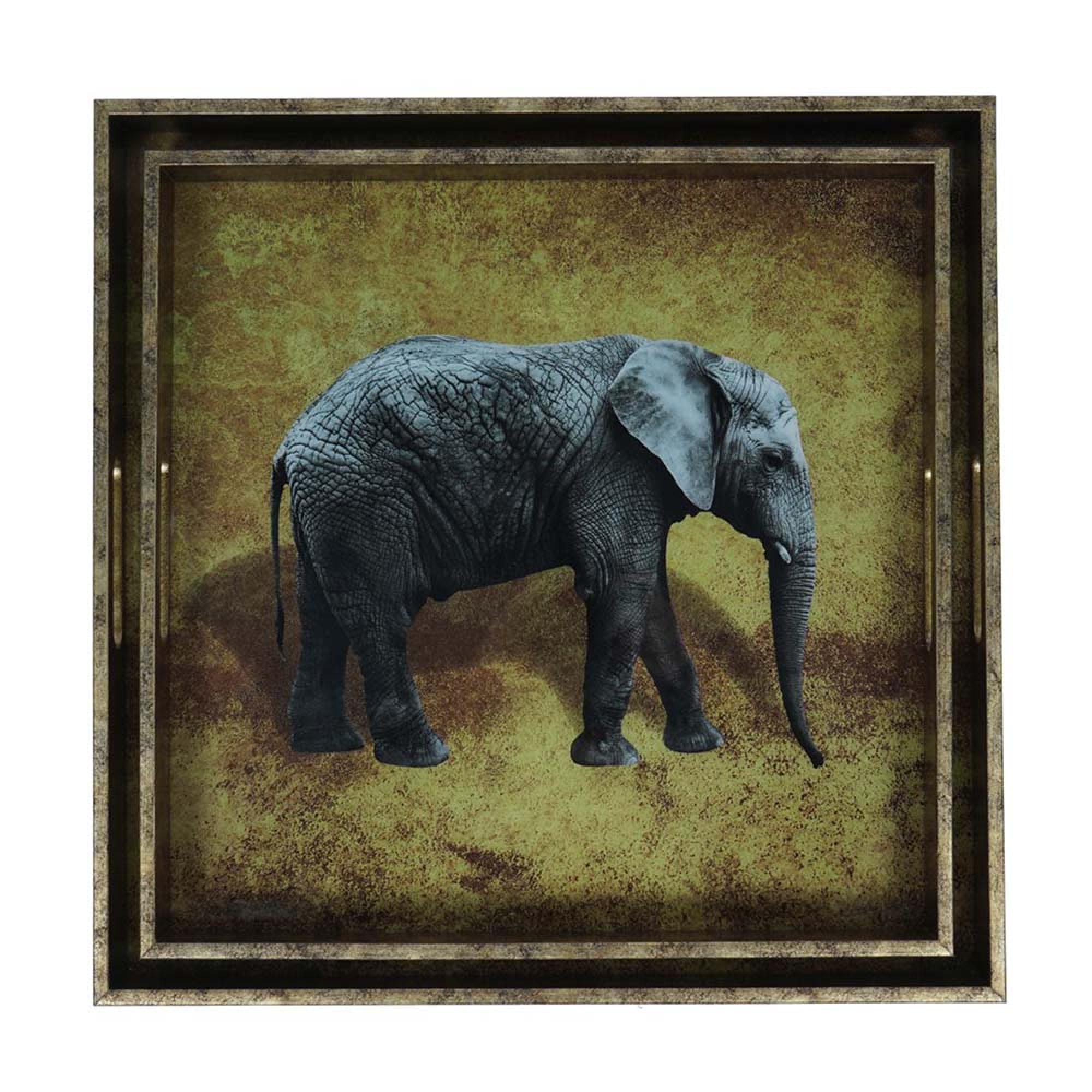 Product photograph of Libra Elephant Decorative Set Of 2 Nesting Trays from Choice Furniture Superstore.