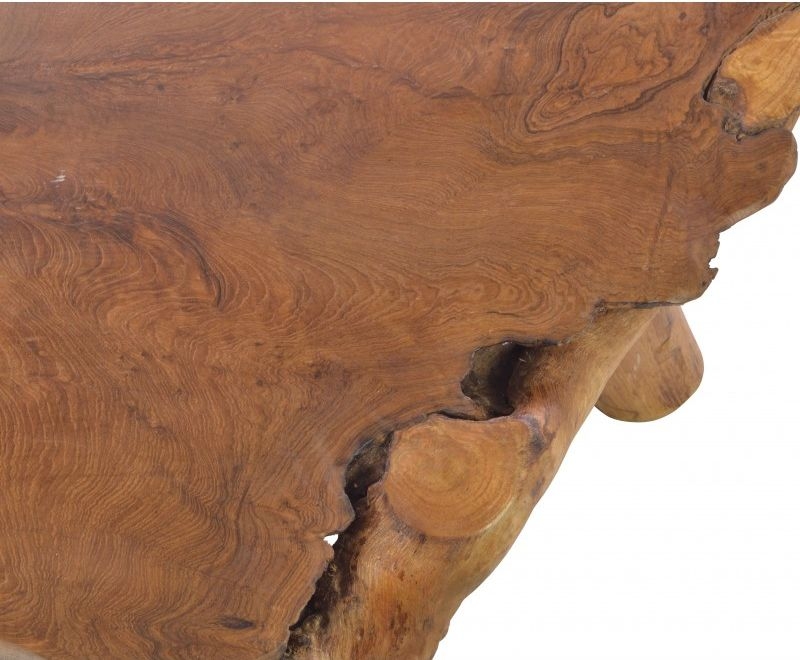 Product photograph of Ancient Mariner Tree Root Coffee Table from Choice Furniture Superstore.
