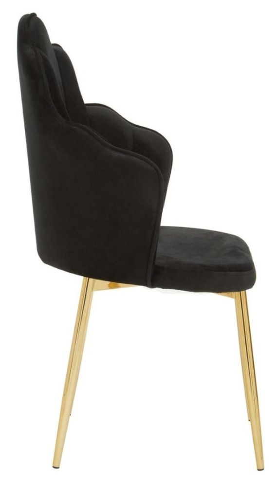 Product photograph of Buckle Black Dining Chair Velvet Fabric Upholstered With Gold Legs Sold In Pairs from Choice Furniture Superstore.