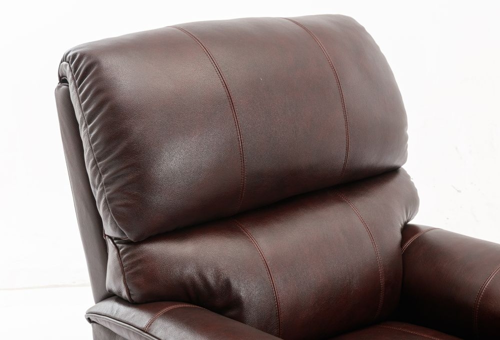 Product photograph of Gfa Toulouse Dual Motor Riser Recliner Chair - Mulberry Leather Match from Choice Furniture Superstore.