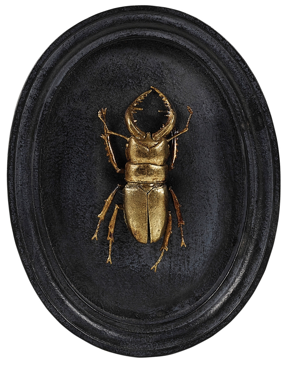 Product photograph of Mindy Brownes Insect Plaque Gold Set Of 3 from Choice Furniture Superstore.