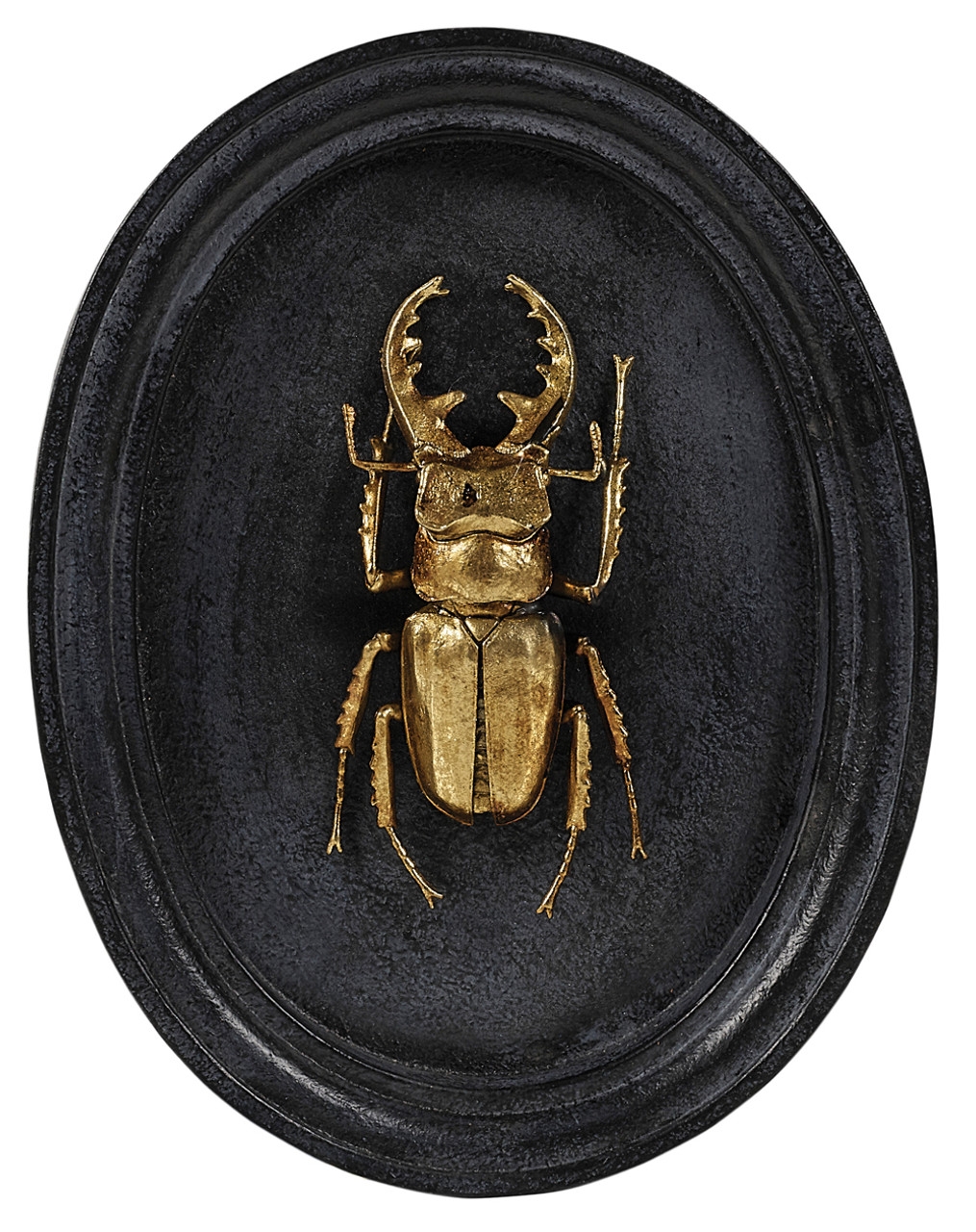 Product photograph of Mindy Brownes Insect Plaque Gold Set Of 3 from Choice Furniture Superstore.