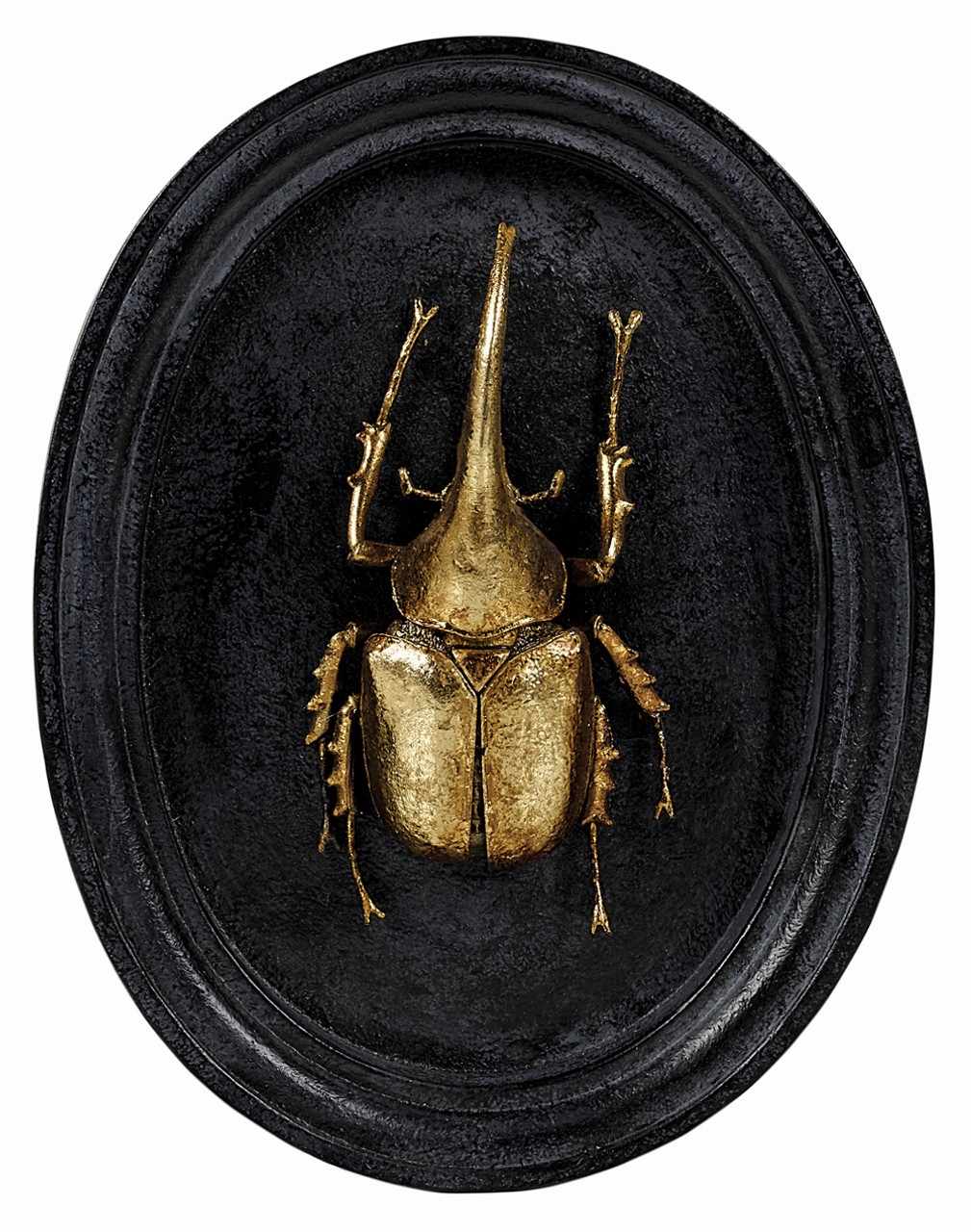 Product photograph of Mindy Brownes Insect Plaque Gold Set Of 3 from Choice Furniture Superstore.