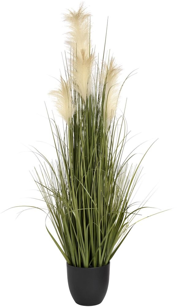 Product photograph of Field Grass Pot from Choice Furniture Superstore.