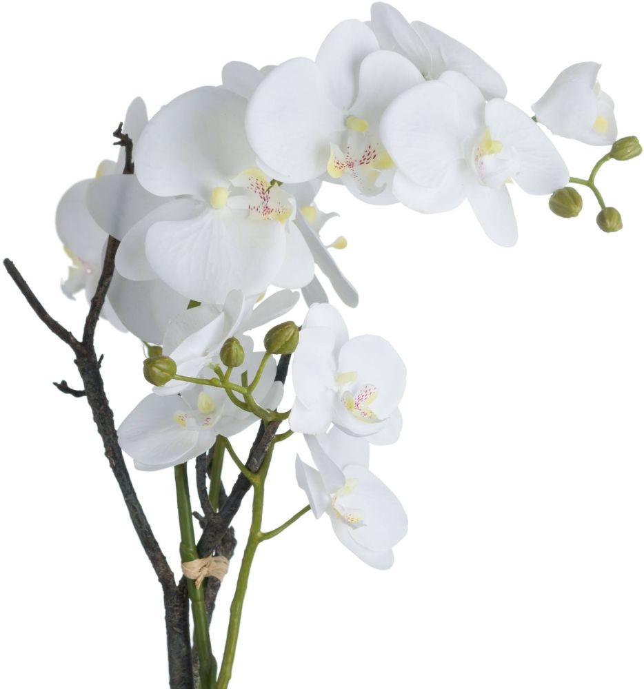 Product photograph of White Orchid In Stone Pot from Choice Furniture Superstore.