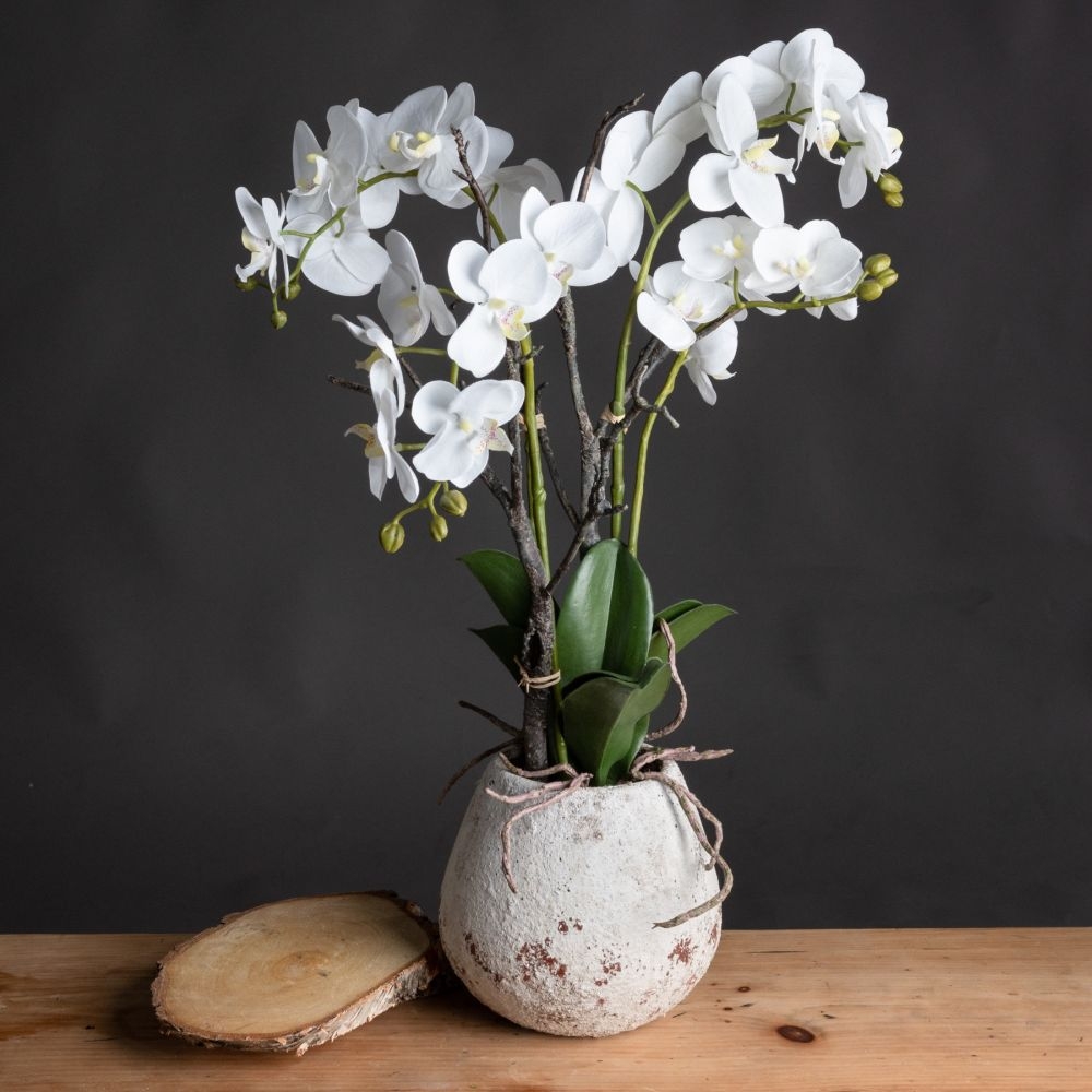 Product photograph of White Orchid In Stone Pot from Choice Furniture Superstore.