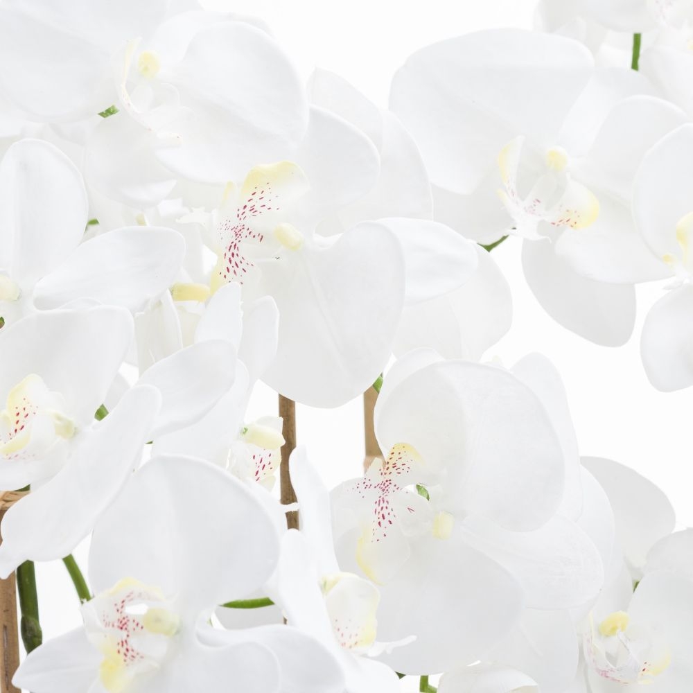 Product photograph of Large White Tall Orchid In Glass Pot from Choice Furniture Superstore.