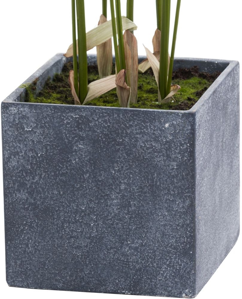 Product photograph of Hill Interiors Large Paradise Potted Palm from Choice Furniture Superstore.