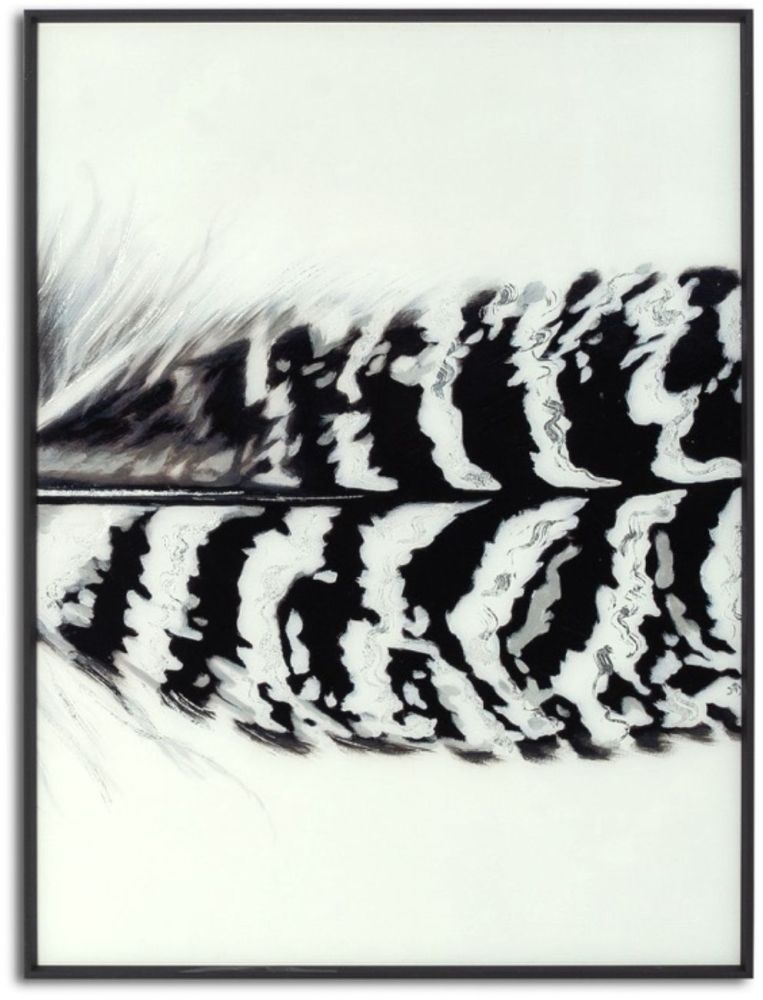 Product photograph of Hill Interiors Black Striped Feather Over 3 Black Glass Frames from Choice Furniture Superstore.