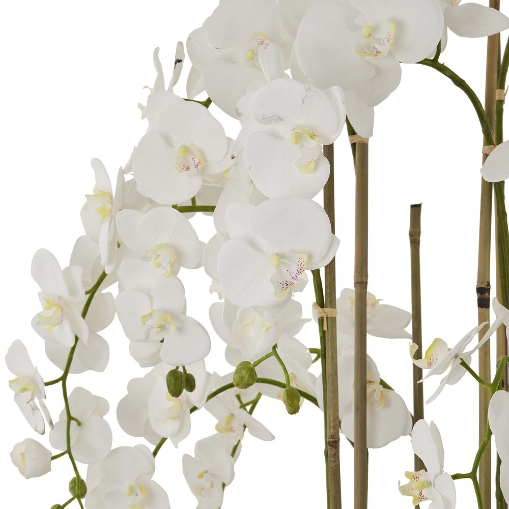 Product photograph of Large White Orchid In Antique Stone Pot from Choice Furniture Superstore.