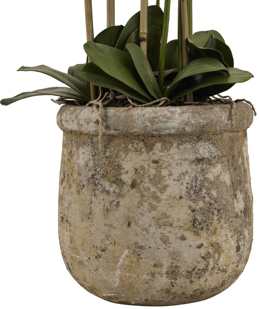 Product photograph of Large White Orchid In Antique Stone Pot from Choice Furniture Superstore.