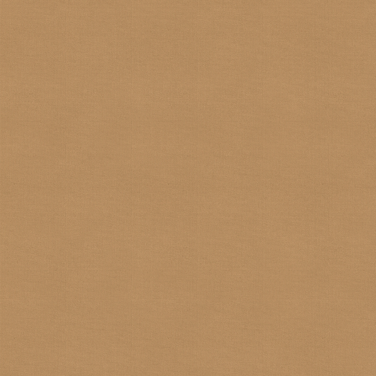 Product photograph of Renard Tan Roller Blind from Choice Furniture Superstore.