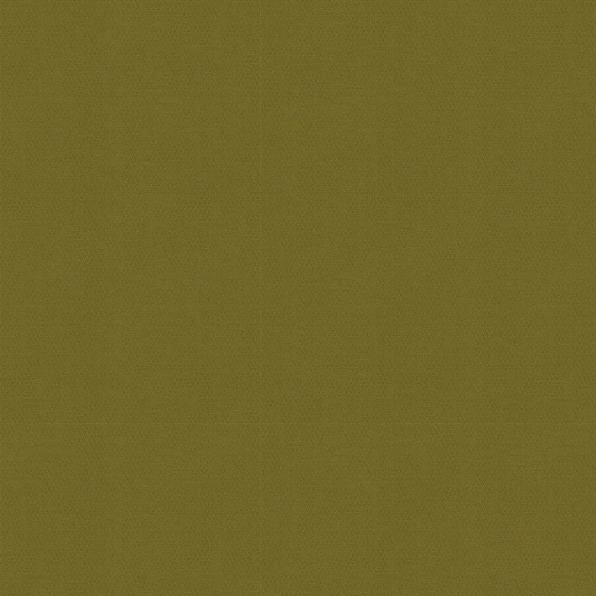 Product photograph of Miranda Moss Roller Blind from Choice Furniture Superstore.
