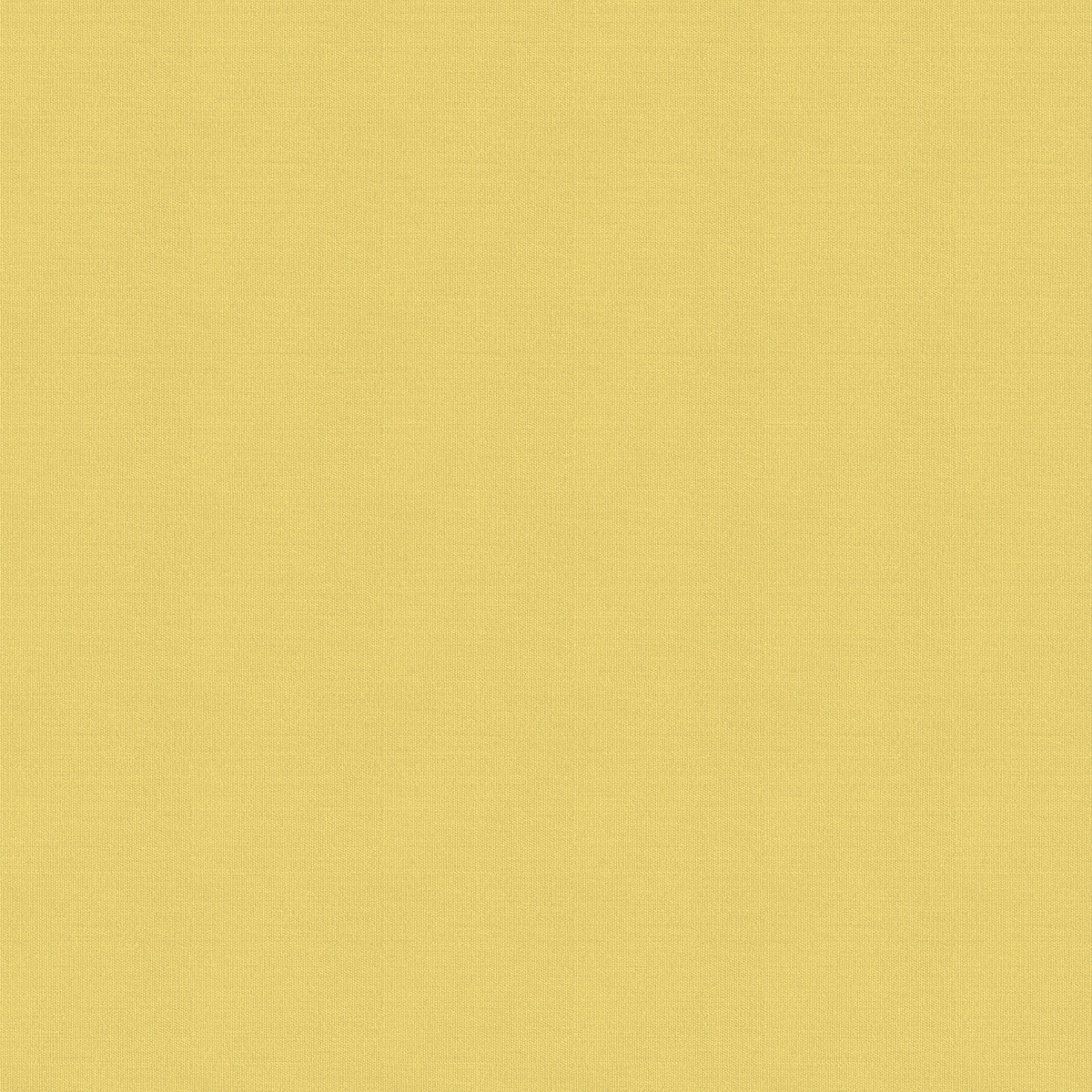 Product photograph of Miranda Daffodil Roller Blind from Choice Furniture Superstore.