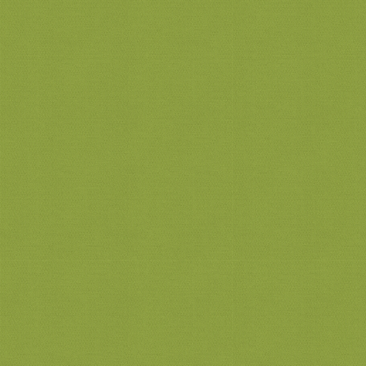 Product photograph of Miranda Grass Roller Blind from Choice Furniture Superstore.