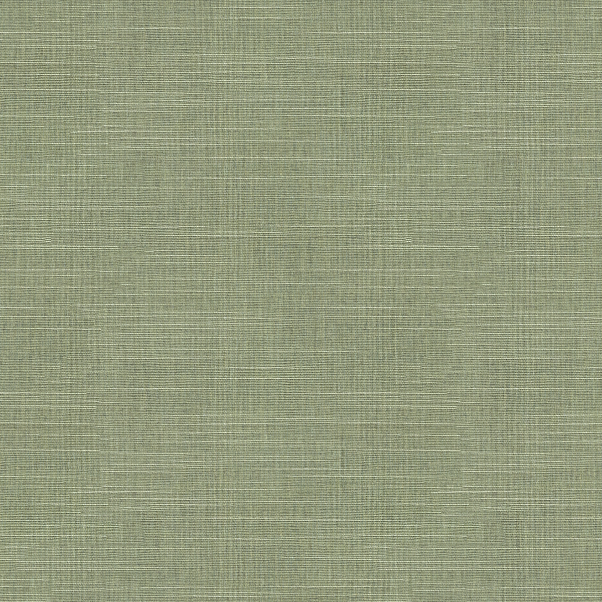 Product photograph of Popp Fern Roller Blind from Choice Furniture Superstore.