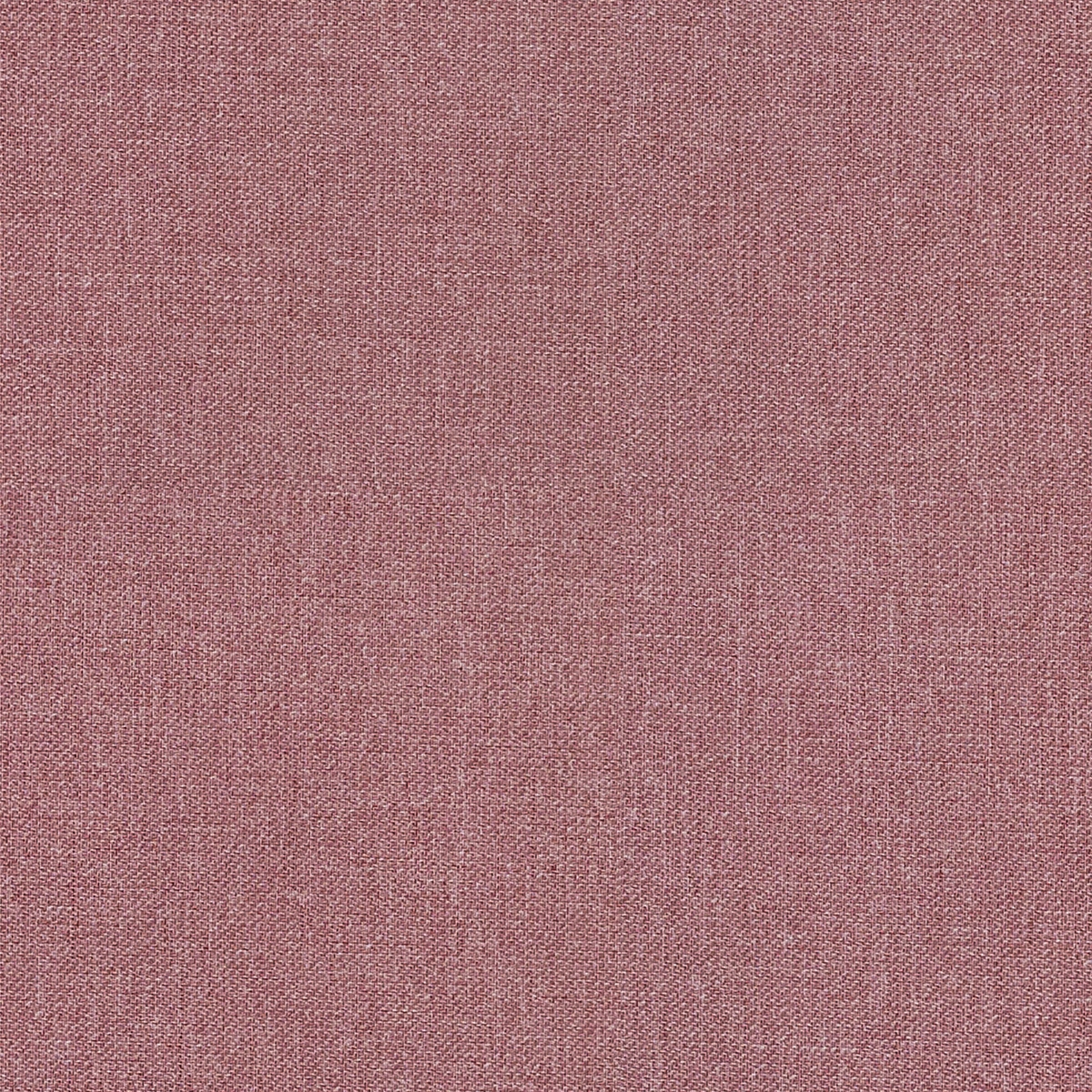 Product photograph of Curio Chilli Roller Blind from Choice Furniture Superstore.