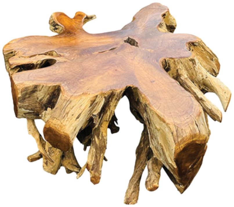 Product photograph of Root Round Spider Coffee Table Large from Choice Furniture Superstore.