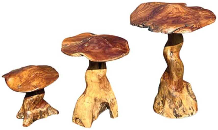 Product photograph of Teak Root Giant Wild Toadstools Set Of 3 from Choice Furniture Superstore.