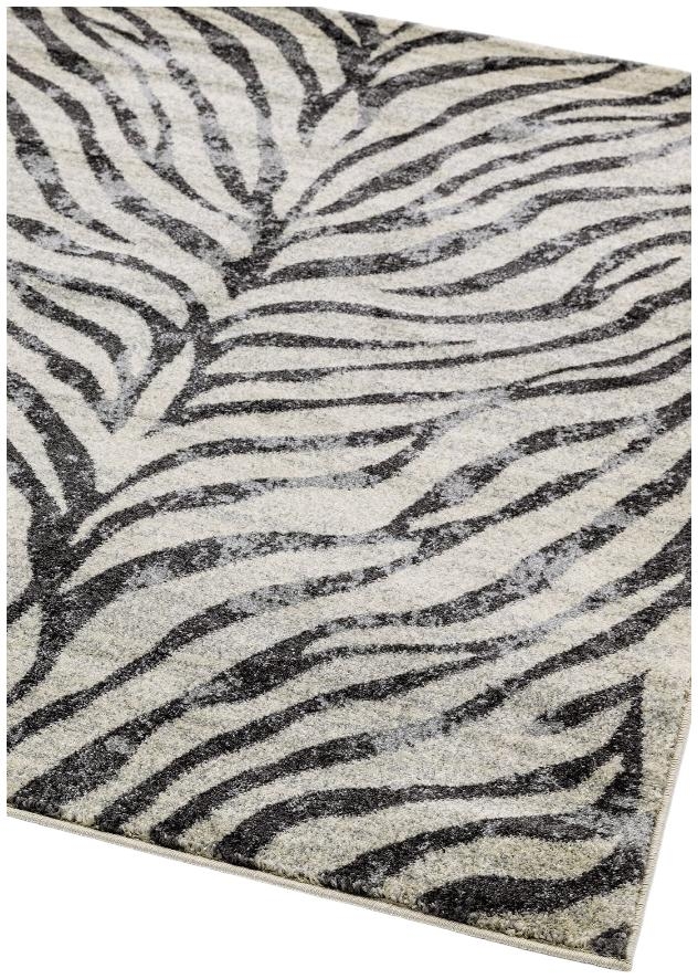 Product photograph of Asiatic Nova Nv27 Zebra Grey Rug from Choice Furniture Superstore.