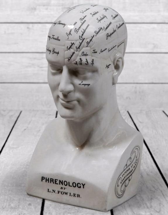 Product photograph of Large Antiqued Phrenology Head from Choice Furniture Superstore.