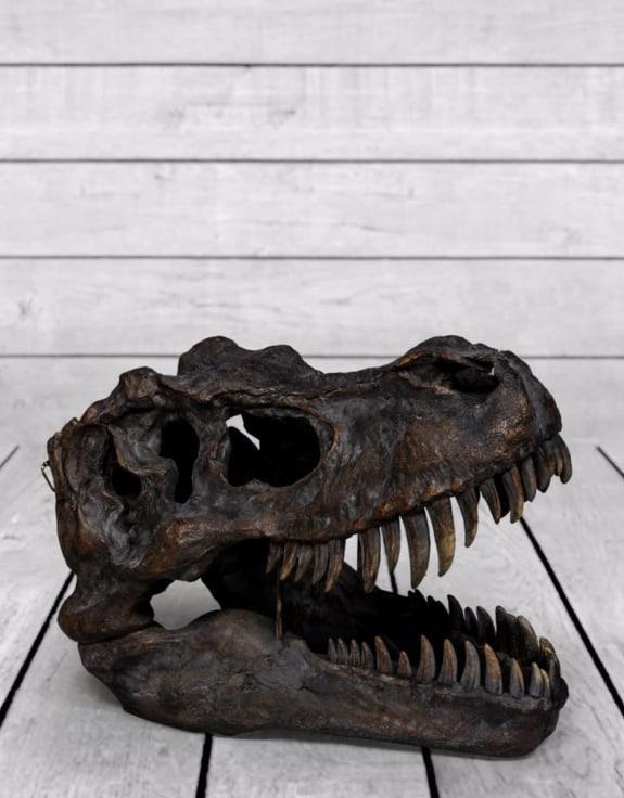 Product photograph of Extra Large T-rex Skull Wall Head from Choice Furniture Superstore.