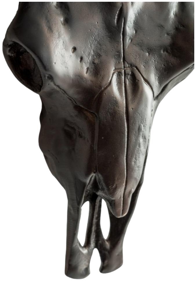 Product photograph of Antique Bronze Bull Wall Skull from Choice Furniture Superstore.