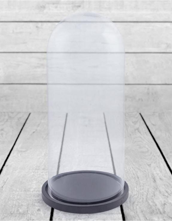 Product photograph of Large Glass Cloche On Black Wooden Base from Choice Furniture Superstore.