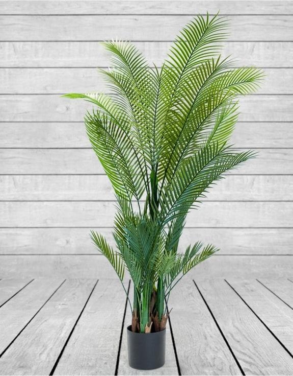 Product photograph of Large Ornamental Palm Tree In Black Pot from Choice Furniture Superstore.