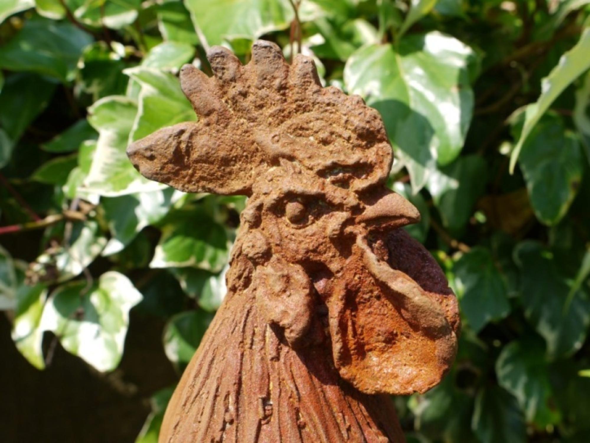 Product photograph of Rusty Large Cockerel from Choice Furniture Superstore.