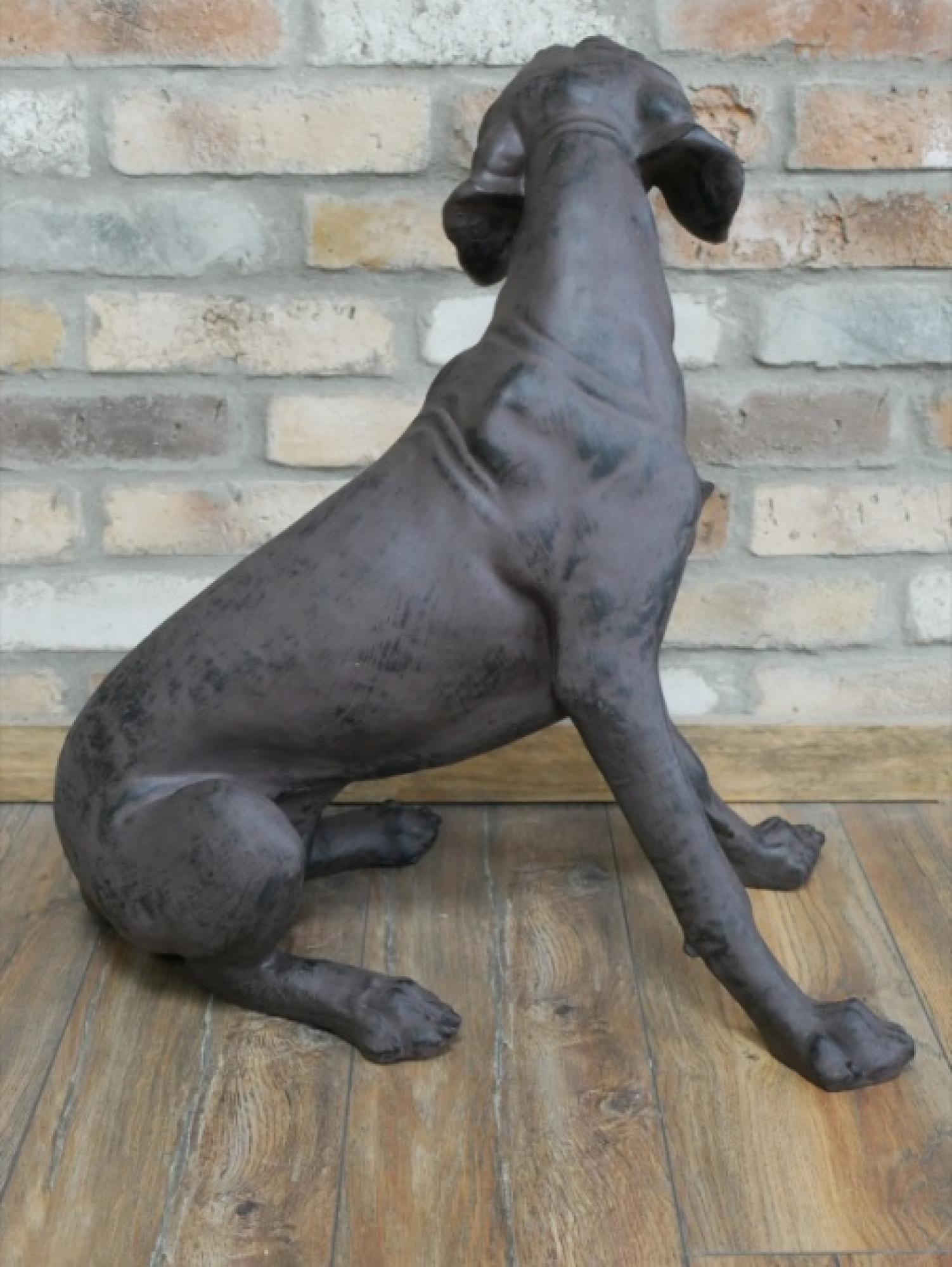 Product photograph of Black Dog from Choice Furniture Superstore.