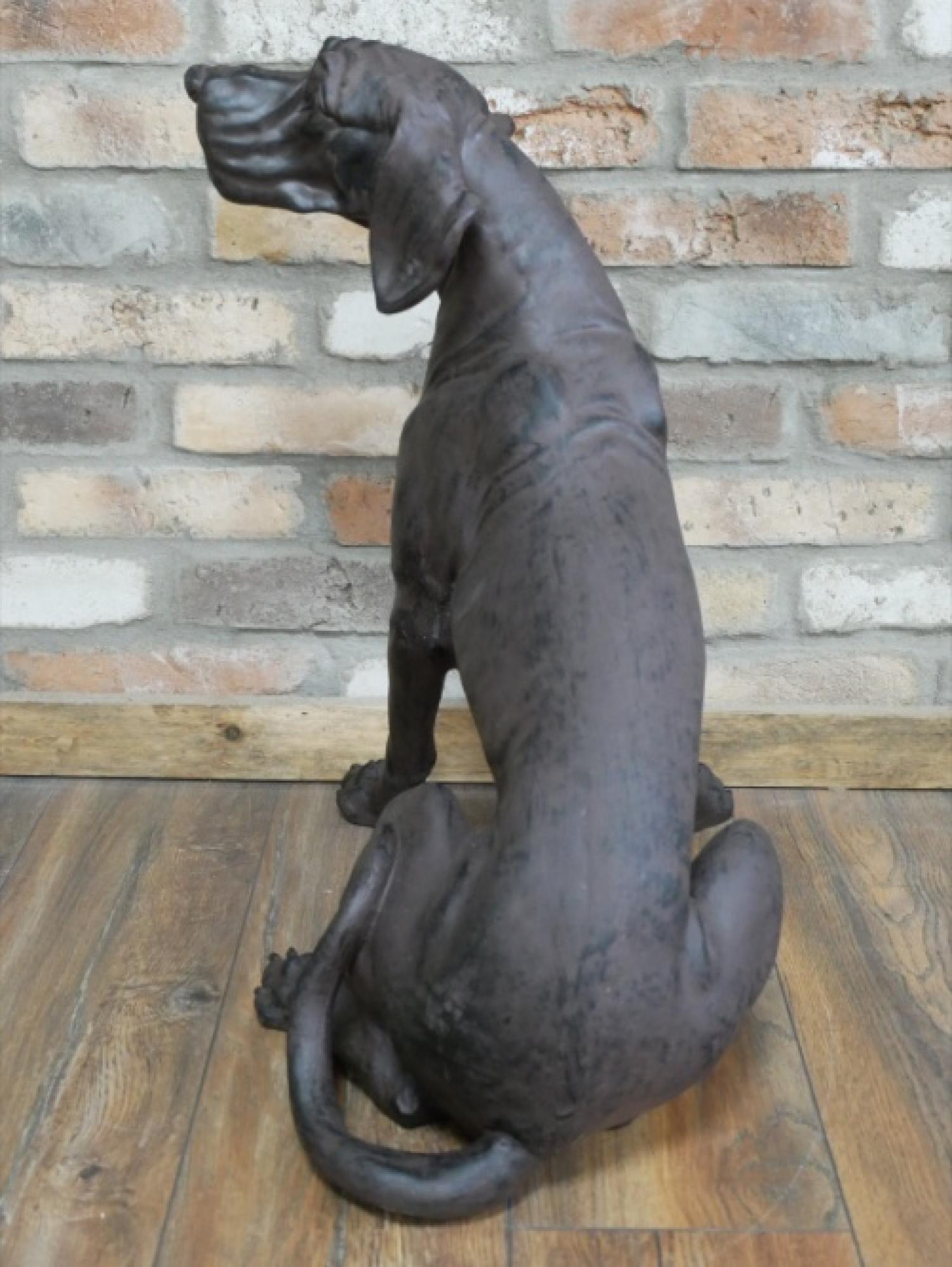 Product photograph of Black Dog from Choice Furniture Superstore.