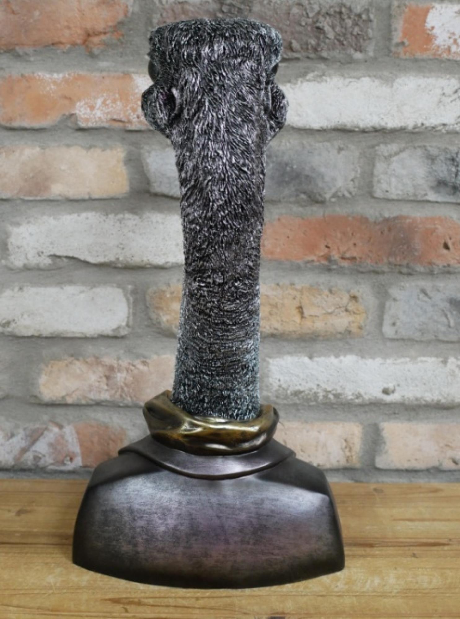 Product photograph of Emu Bust Set Of 2 from Choice Furniture Superstore.
