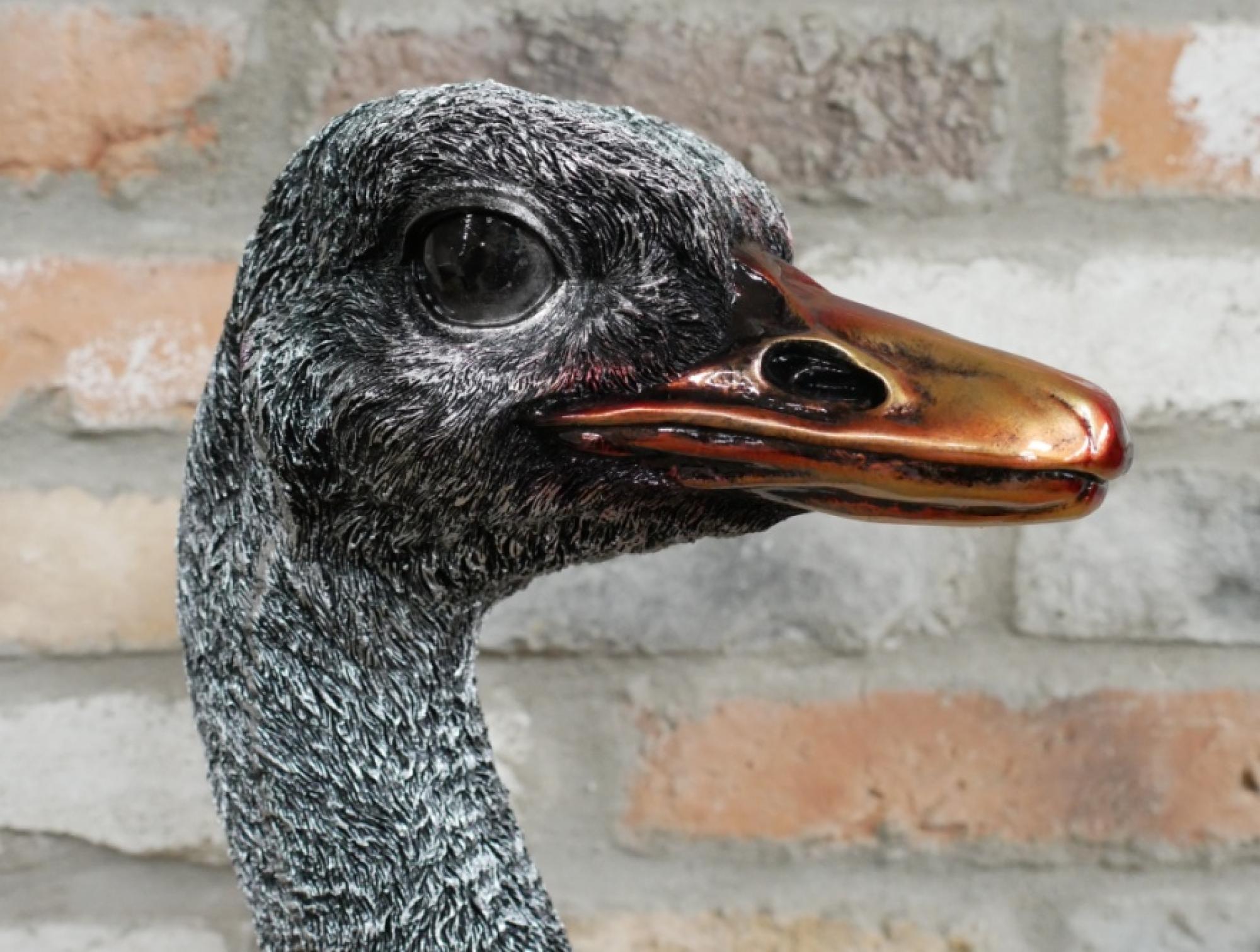 Product photograph of Emu Bust Set Of 2 from Choice Furniture Superstore.