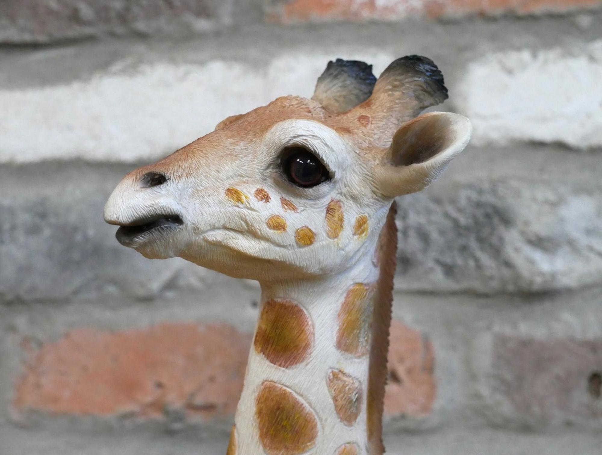 Product photograph of Resin Giraffe Set Of 2 from Choice Furniture Superstore.